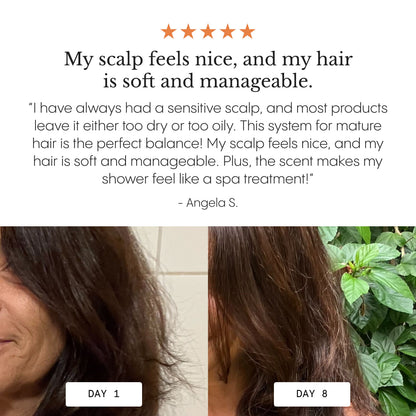 Complete Natural Hair & Skin Bundle
